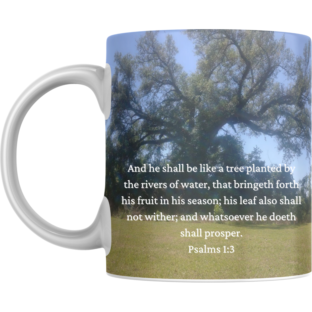 Custom 11oz mugs