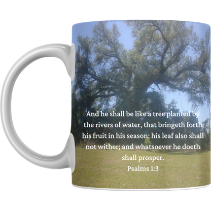 Custom 11oz mugs